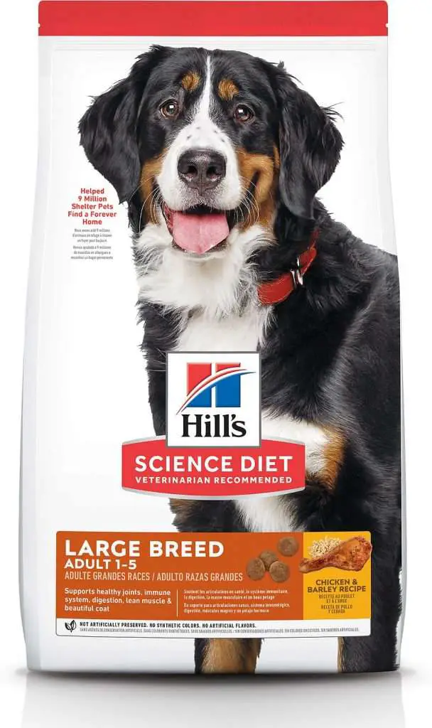 Hill's Science Diet Adult Large Breed 