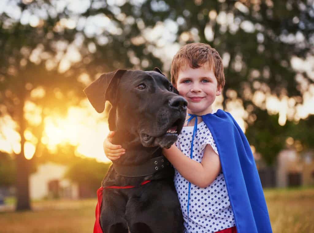 great dane and his boy playing