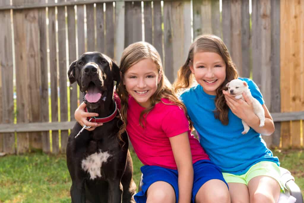 great dane with two kids