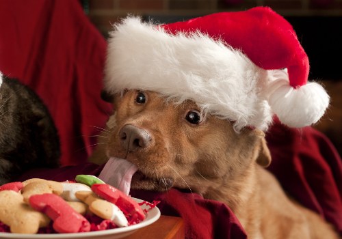 Christmas dog treat ingredients