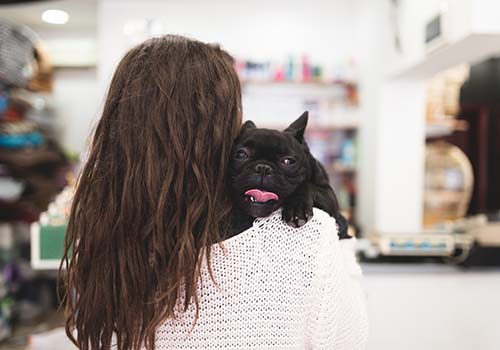 Dog in the department store