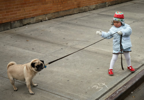 A girl pulling a collar of a dog during daytime