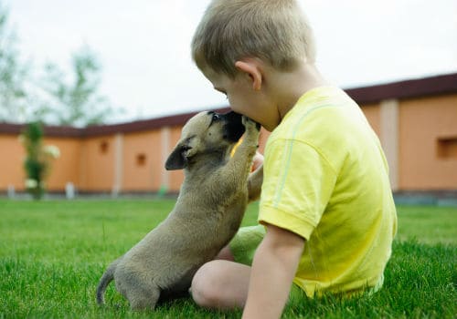 Little boy kissing with his cute dog