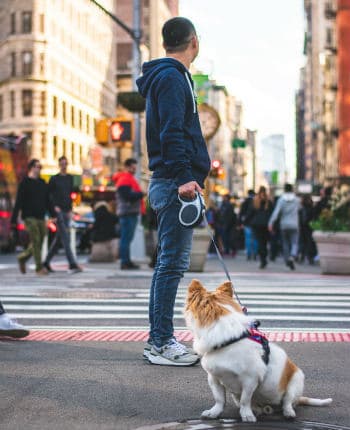 Man walking a dog in the city